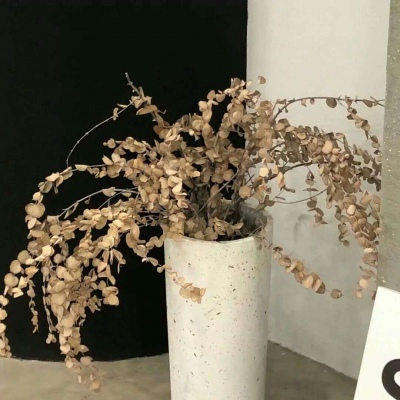 开化福瑞交流群